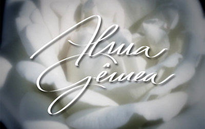 Confira o resumo da novela Alma Gêmea de hoje, quinta-feira (07/11)